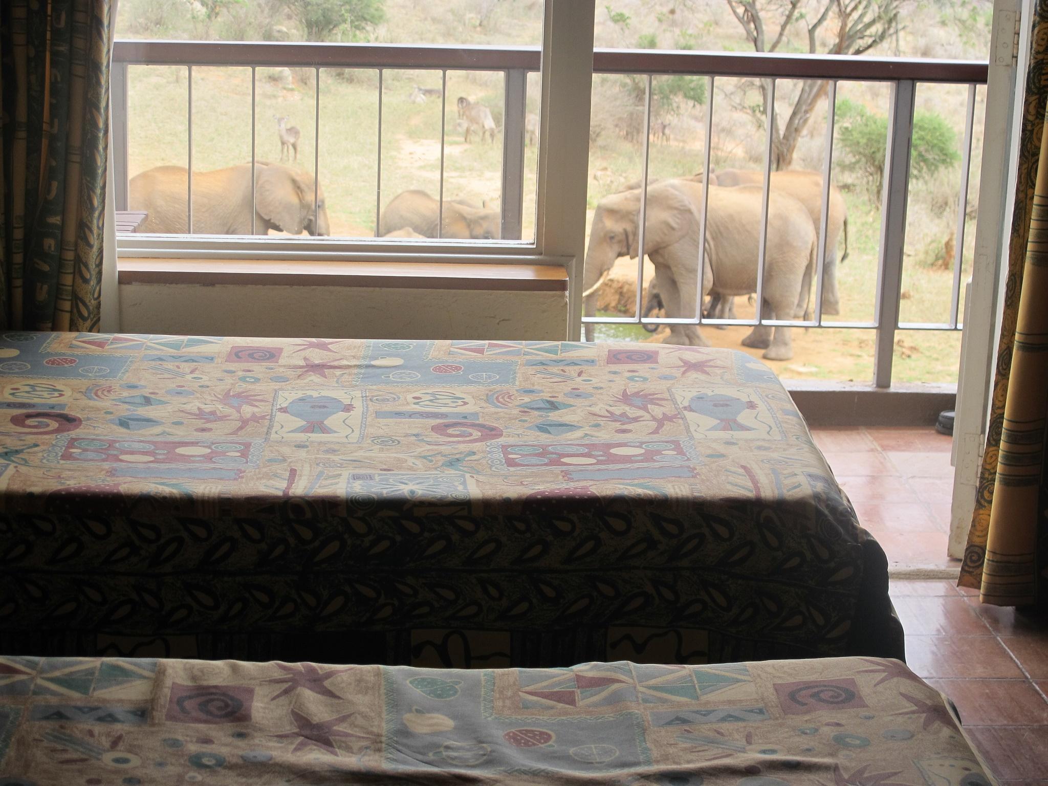 Ngulia Safari Lodge Tsavo 외부 사진