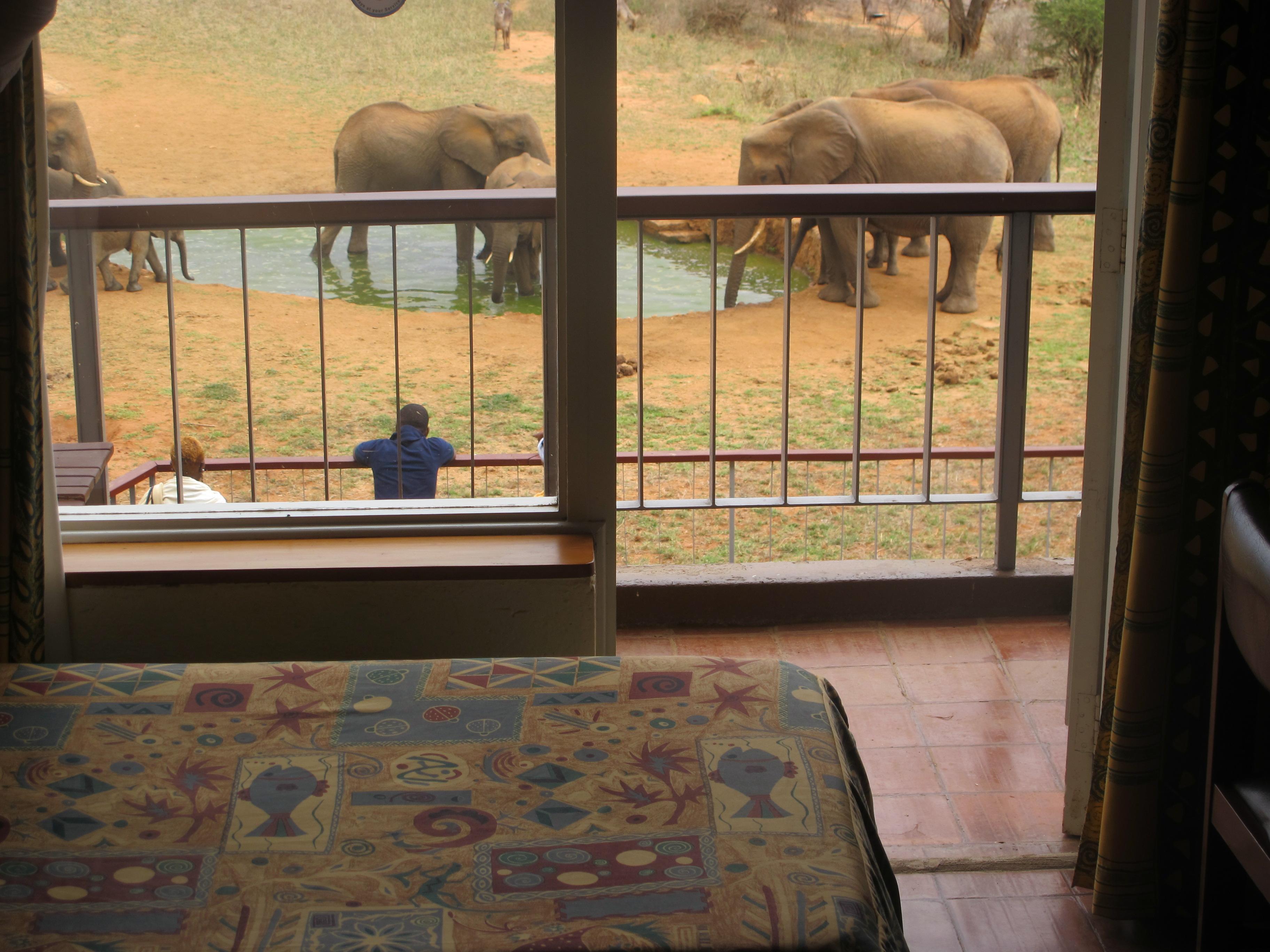 Ngulia Safari Lodge Tsavo 외부 사진