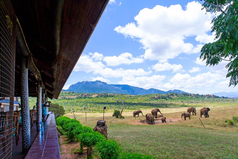 Ngulia Safari Lodge Tsavo 외부 사진