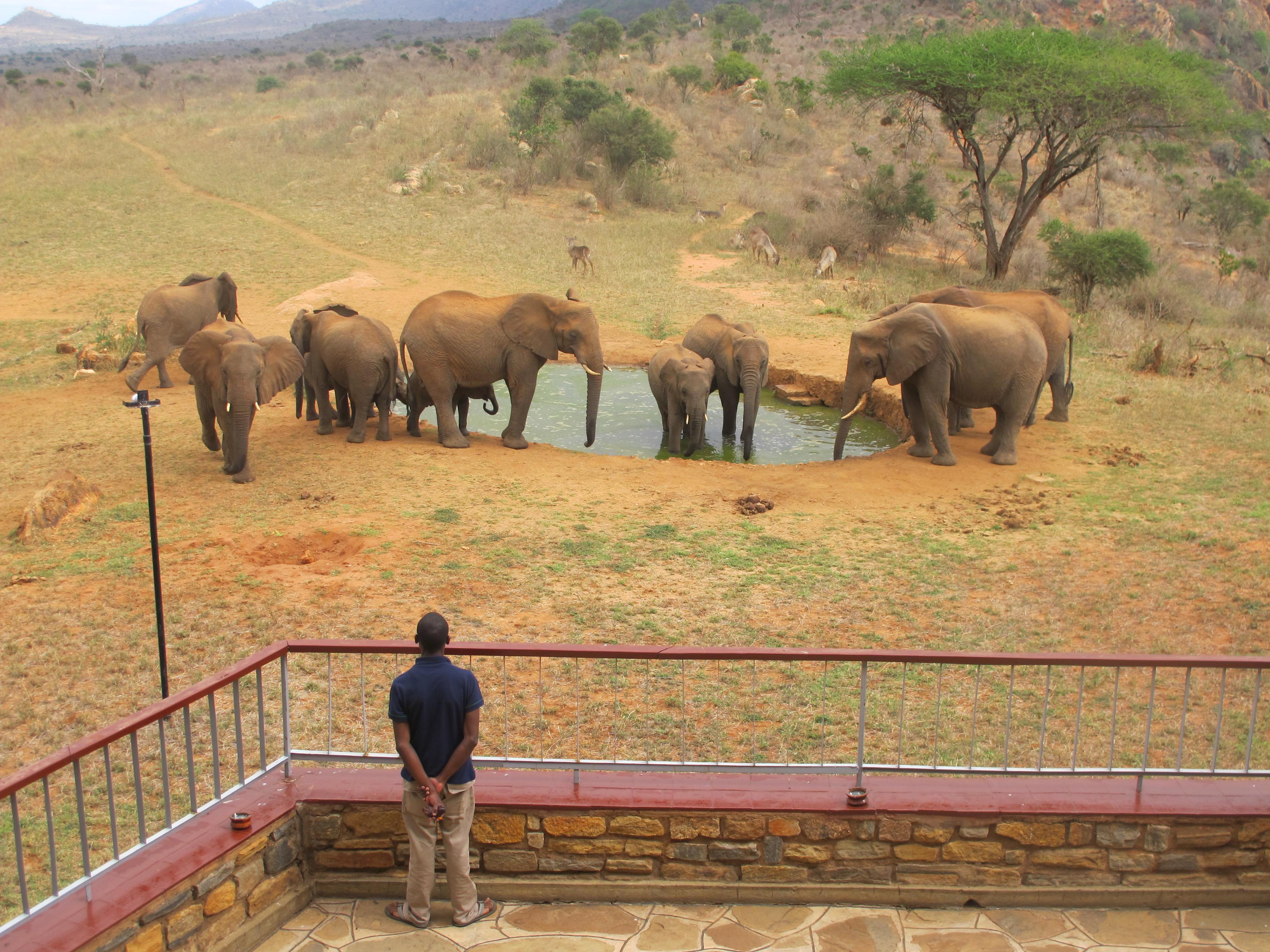 Ngulia Safari Lodge Tsavo 외부 사진